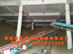 檔案室變更引關注 大量資料入庫需樓面承重檢測