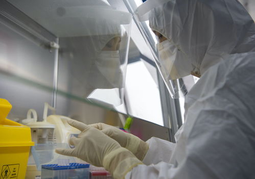 金域醫(yī)學舉全集團之力，支援北京核酸檢測日產(chǎn)能突破3萬例